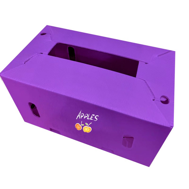 Pp Fruit Box